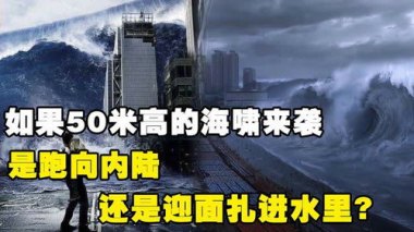 日本海啸来袭 居民跑向避难所