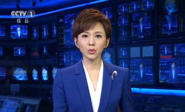 欧阳夏丹回复网友如何养老