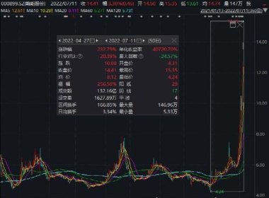 A股年内首只10倍股停牌核查