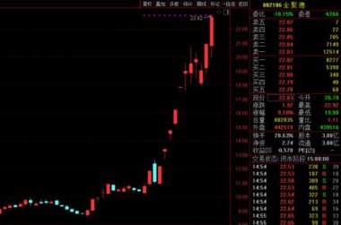 A股年内首只10倍股停牌核查
