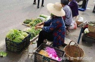 上海卖菜网红回应摆摊被劝离