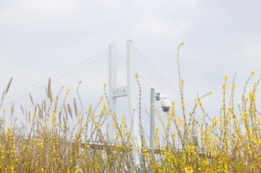 台风“竹节草”致30年大桥被冲毁