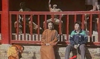 释小龙父亲任职的少林武校被执行