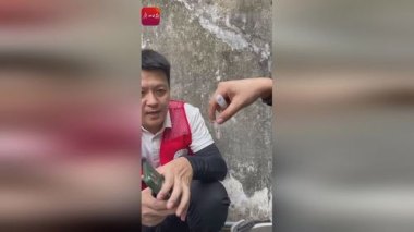 佛山释放不咬人蚊子捕食咬人蚊子