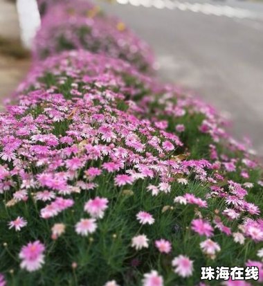 华为手机虚化怎么调
