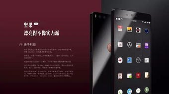 华为锤子手机怎么选