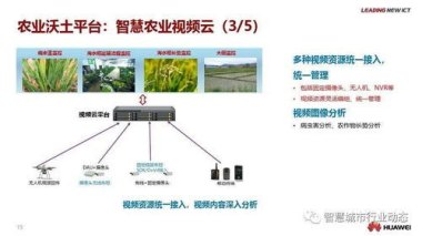 华为手机怎么农村早晨