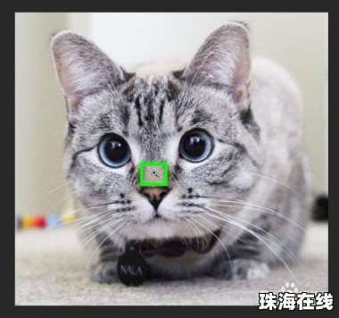 华为手机怎么画面缩放