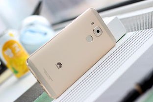 华为手机怎么带宠物