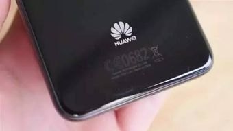 华为手机怎么拍汉堡