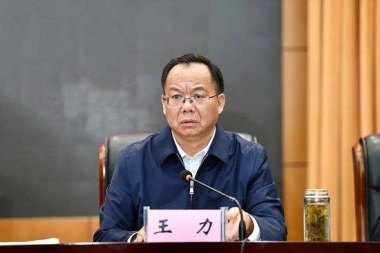 靴子落地 玉溪市委原书记王力被查