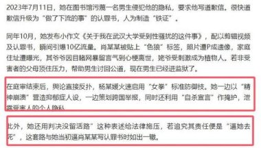 武大将调查复核杨某某学位论文