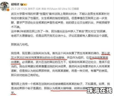 武大将调查复核杨某某学位论文