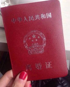 葛夕晒离婚证：单身 离异 无新欢