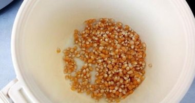 原来真有“爆米花”这种花