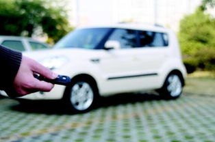 女子称充电不久就被邻车抢走充电枪 女子称充电不久就被邻车抢走充电枪