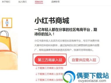 央视：小红书成针剂违规代打接单平台