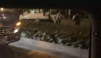 汉江现巨型怪物？夜钓者拍下惊悚一幕