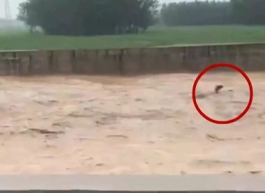 五台山突降暴雨 车辆被冲走