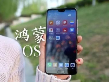 华为手机要怎么联网