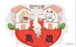 村民离婚因29只鸡怎么分闹上法庭