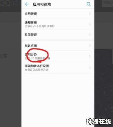 怎么双开手机游戏华为