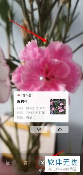 华为手机怎么认识植物