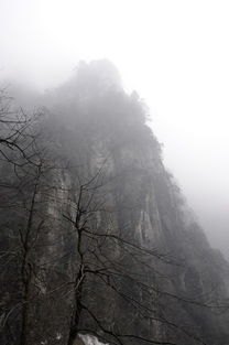 峨眉山遇冷 14万游客量流失