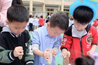 幼儿园招生进入白热化 幼儿园招生进入白热化