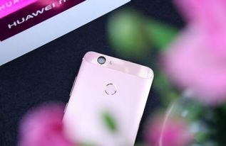 华为手机nova手机怎么拆装 华为手机nova手机怎么拆装