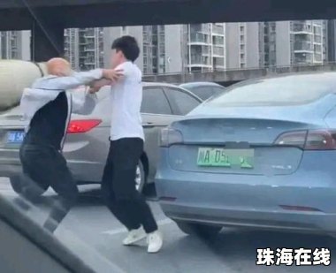 特斯拉司机持刀伤人？男子造谣被拘