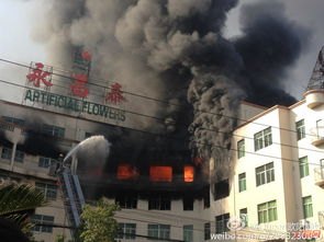厦门海沧区一生物科技公司发生火灾