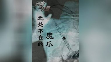 董某莹肖某事件5家机构19人被问责