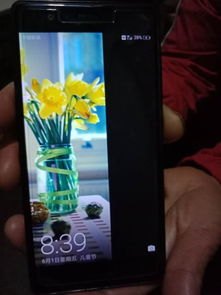 华为手机屏长亮怎么回事