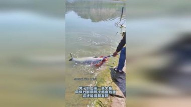 男子钓了一条大鱼 妻子情绪价值拉满