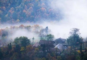 李福贵花2万元带村里46名老人旅游