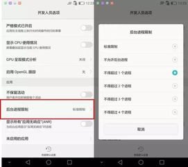 华为手机动画缩放怎么找