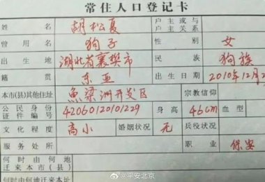 女子办虚假户口簿领出近10万养老金 女子办虚假户口簿领出近10万养老金