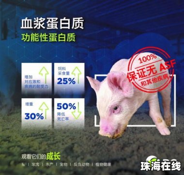 猪价跌入“6元时代”