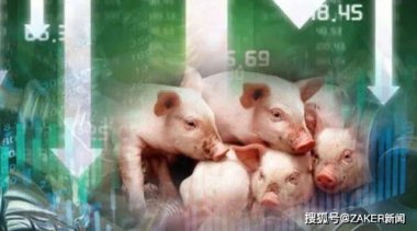 猪价跌入“6元时代”