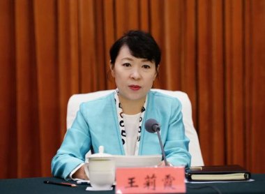 内蒙古自治区政府主席王莉霞被查