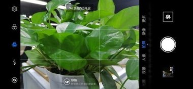 华为手机绿植调色怎么调