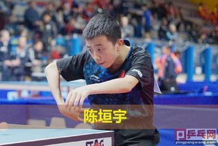 林诗栋黄友政男双亚军