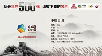 他们是最闪亮的中国名片