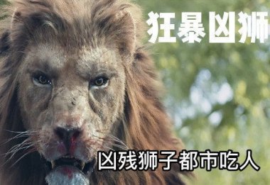 动物园狮子因不爱洗澡走红 酷似乞丐
