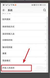 华为手机上的白点怎么删