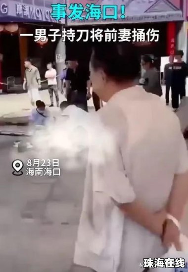 男子为争抚养权 连捅前妻闺蜜三刀