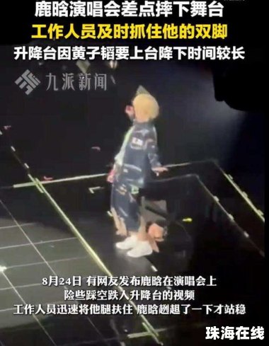 鹿晗演唱会差点摔下升降台
