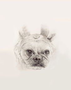 怎么在华为手机养小狗犬