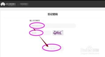 华为手机密码了怎么找回